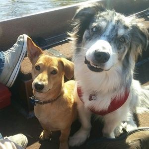 Meet your Posher, Becky